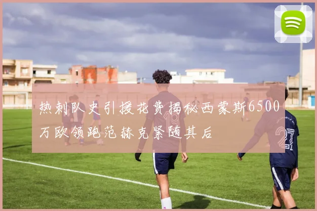 热刺队史引援花费揭秘西蒙斯6500万欧领跑范赫克紧随其后