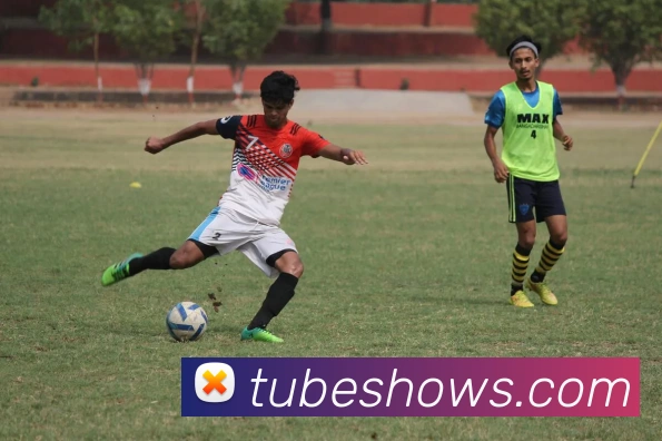 奖项证书